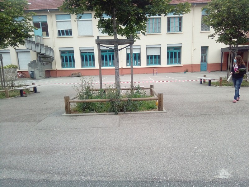école élémentaire